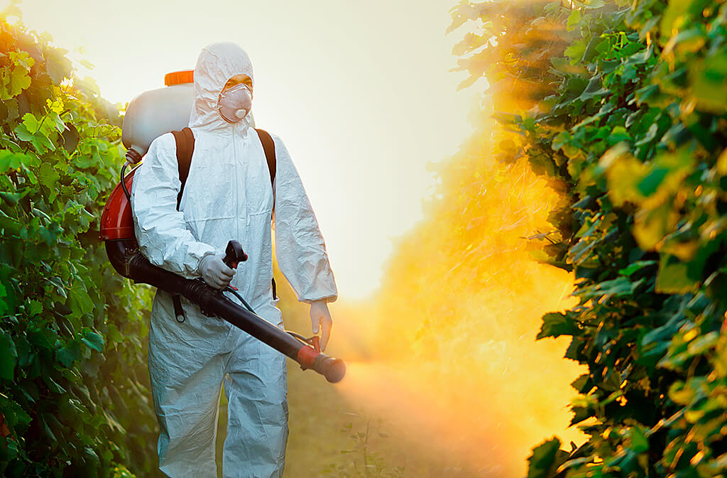biorat disinfestazione derattizzazione